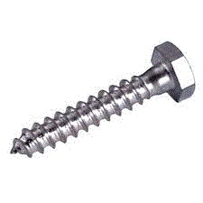 Din 571 Coach screw  06mm stainless steel