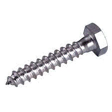 Din 571 Coach screw  06mm zinc plated